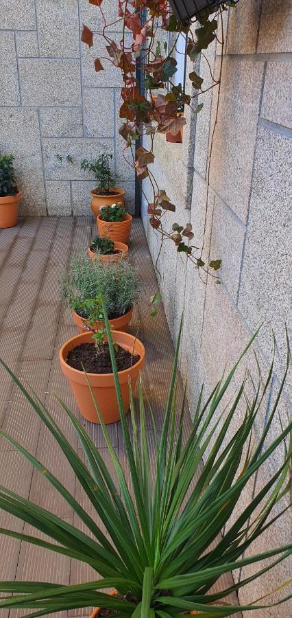 O Terraco Florido Appartement Viseu Buitenkant foto